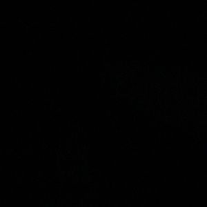 Meet your Posher, Devin